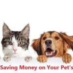 5 Tips for Saving Money on Your Pet's Care