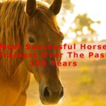 Most Successful Horse Trainers Over The Past 100 Years