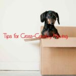 Tips for Cross-Country Moving
