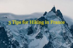 Polina Sitnova –International Model | Bio & Career Highlight