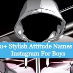 Stylish Attitude Names For Instagram For Boys