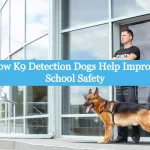 How K9 Detection Dogs Help Improve School Safety