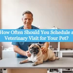 How Often Should You Schedule a Veterinary Visit for Your Pet