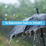 Is Rainwater Safe to Drink