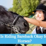 Is Riding Bareback Okay for Horses
