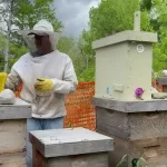 How Urban Beekeeping Rescue Teams Turn Swarm-Capture Clips